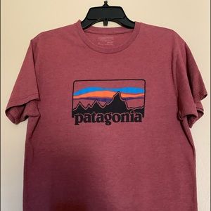🔥PATAGONIA TEE🔥